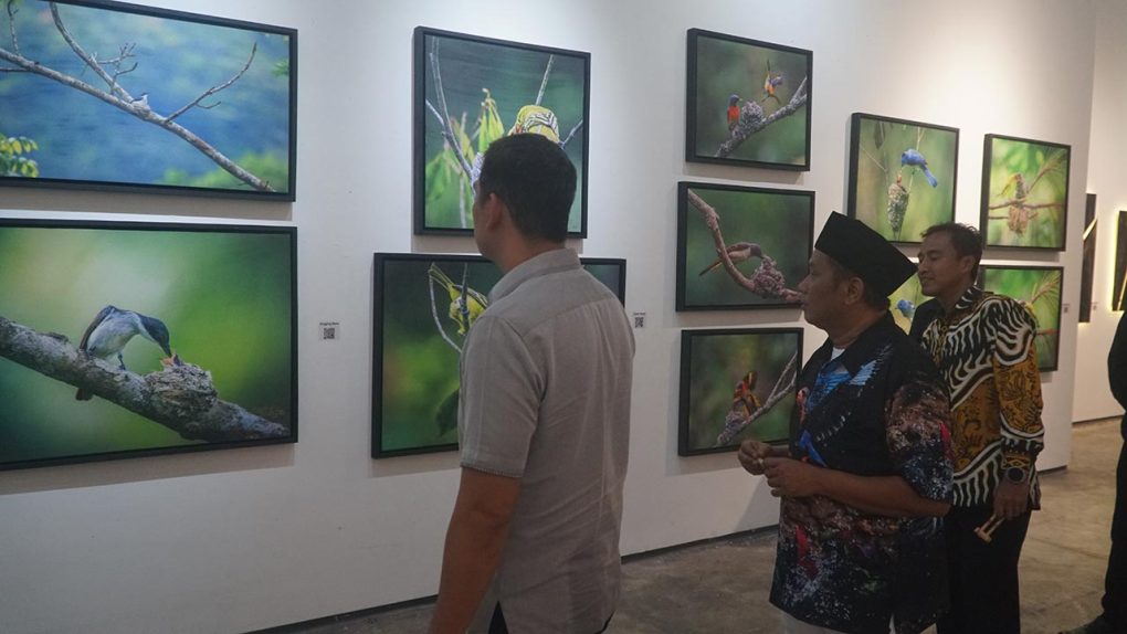 Nest to Meet You dan Upaya Kelestarian Burung melalui Fotografi